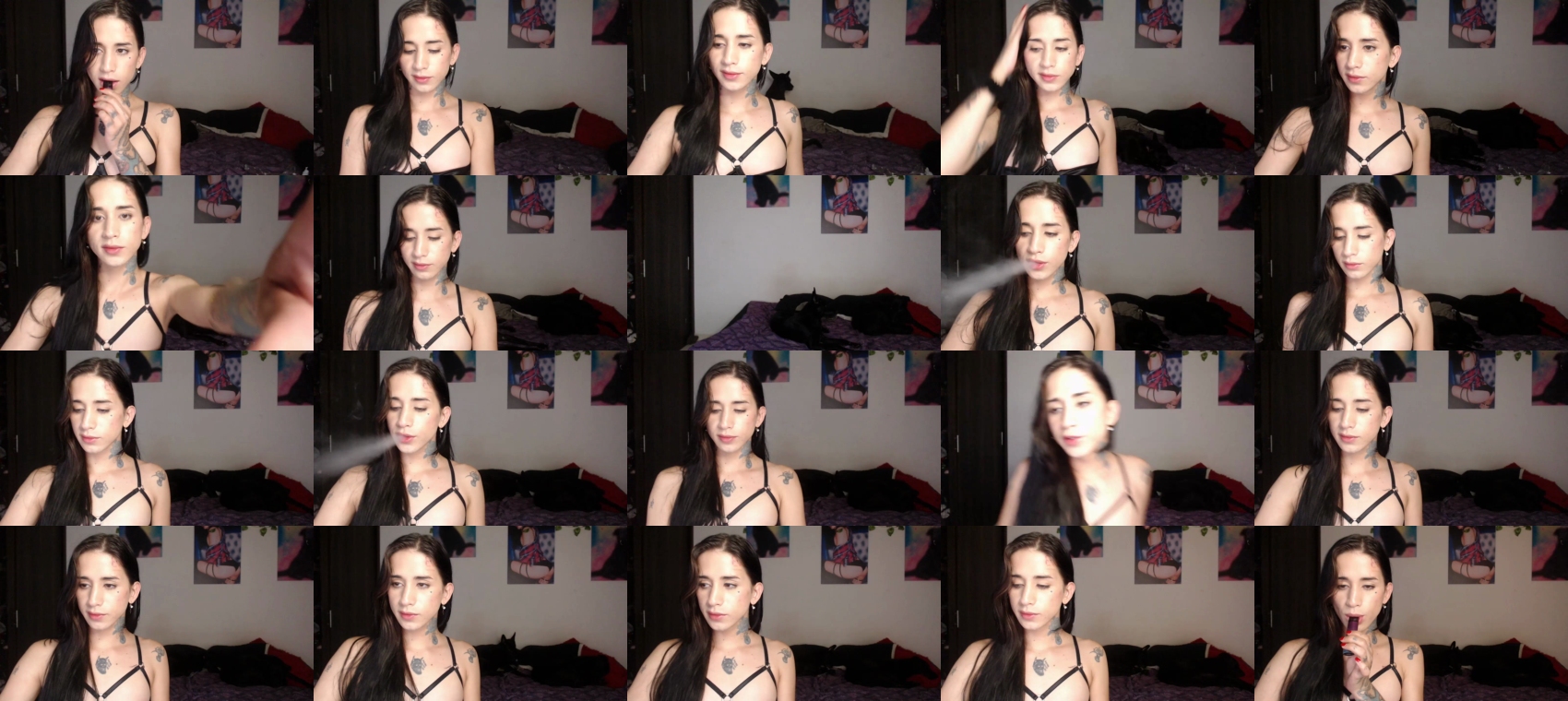 mely_roussex  09-09-2022